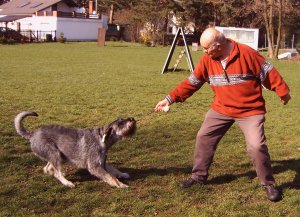 Spiel mit dem Ball