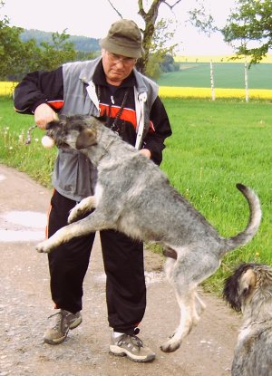 Spiel mit dem Ball