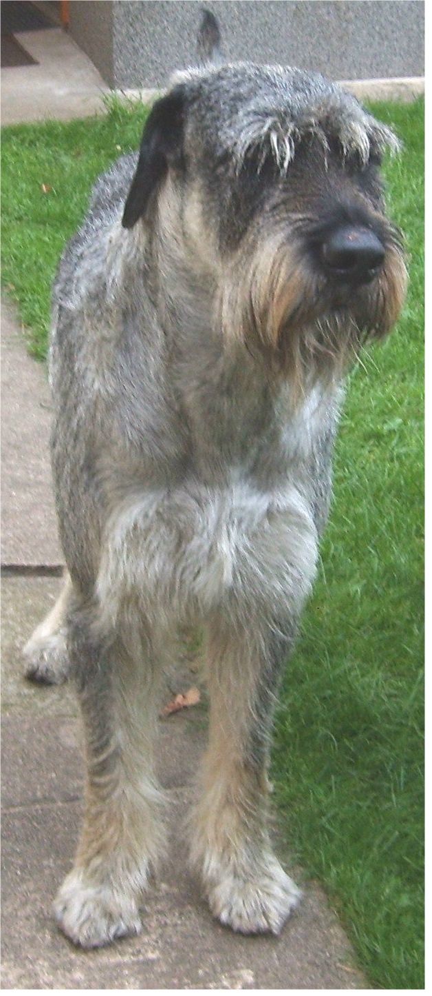 Atlas 8 Jahre