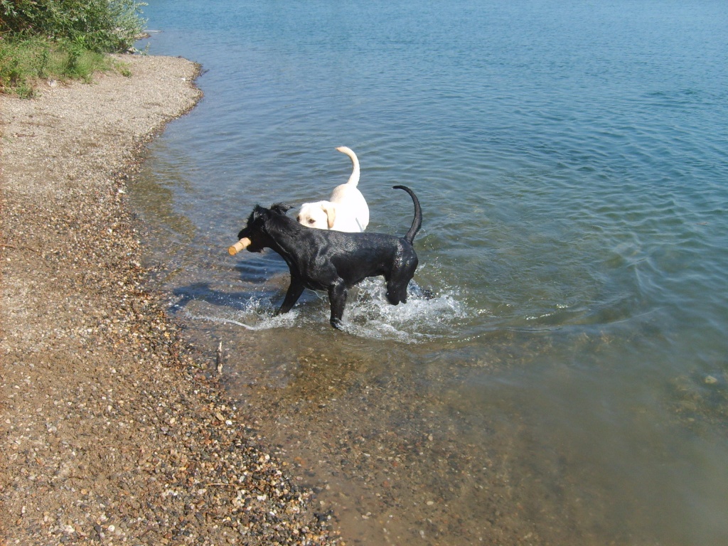 Alec und Laky