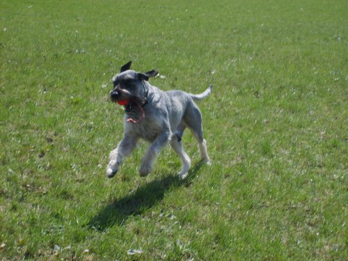 Atlas und sein Ball